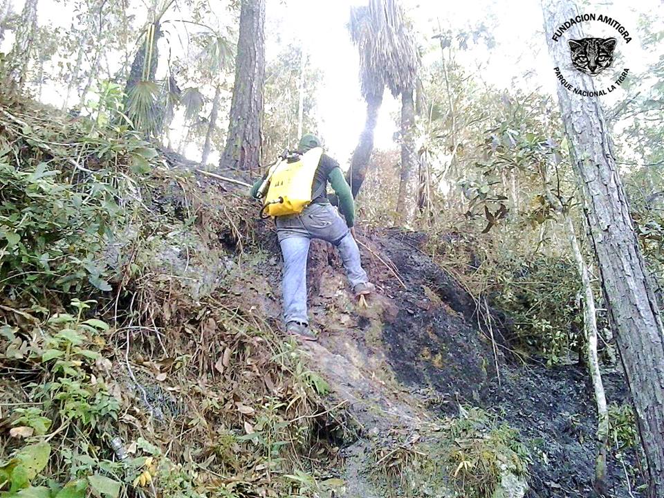 Amitigra incendio