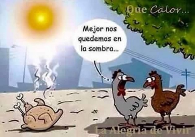 ¡Los memes y se puso perra “la calor”! – RadioHouse