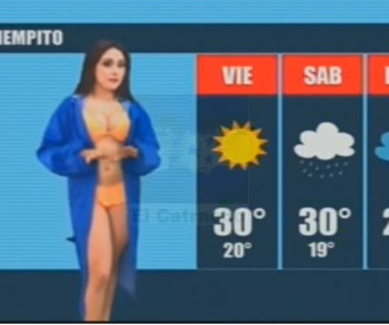 Campanita