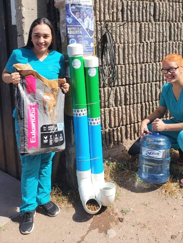 Fuente: Clínica Veterinaria Soto