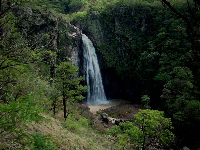 Fuente: National Geographic