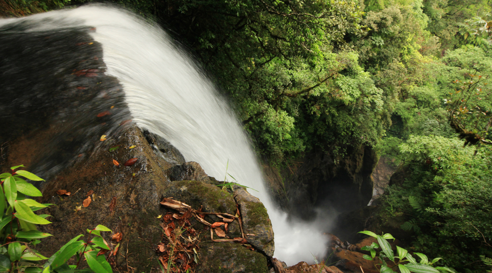 Fuente: Honduras Tips