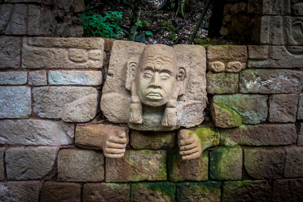 Fuente: Tropícaldiscovery