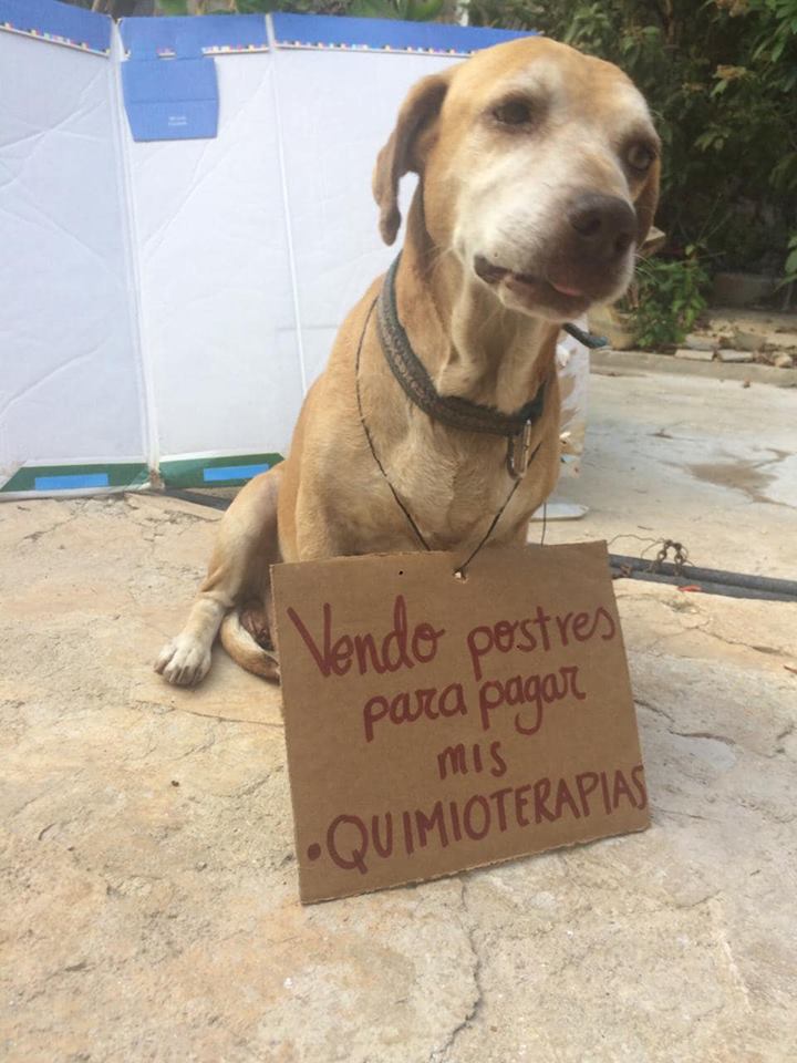 Fuente: Vanessa Euan