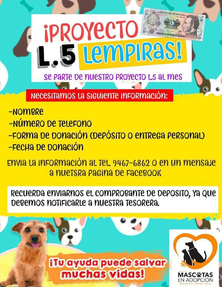 Fuente: Mascotas en Adopción Honduras