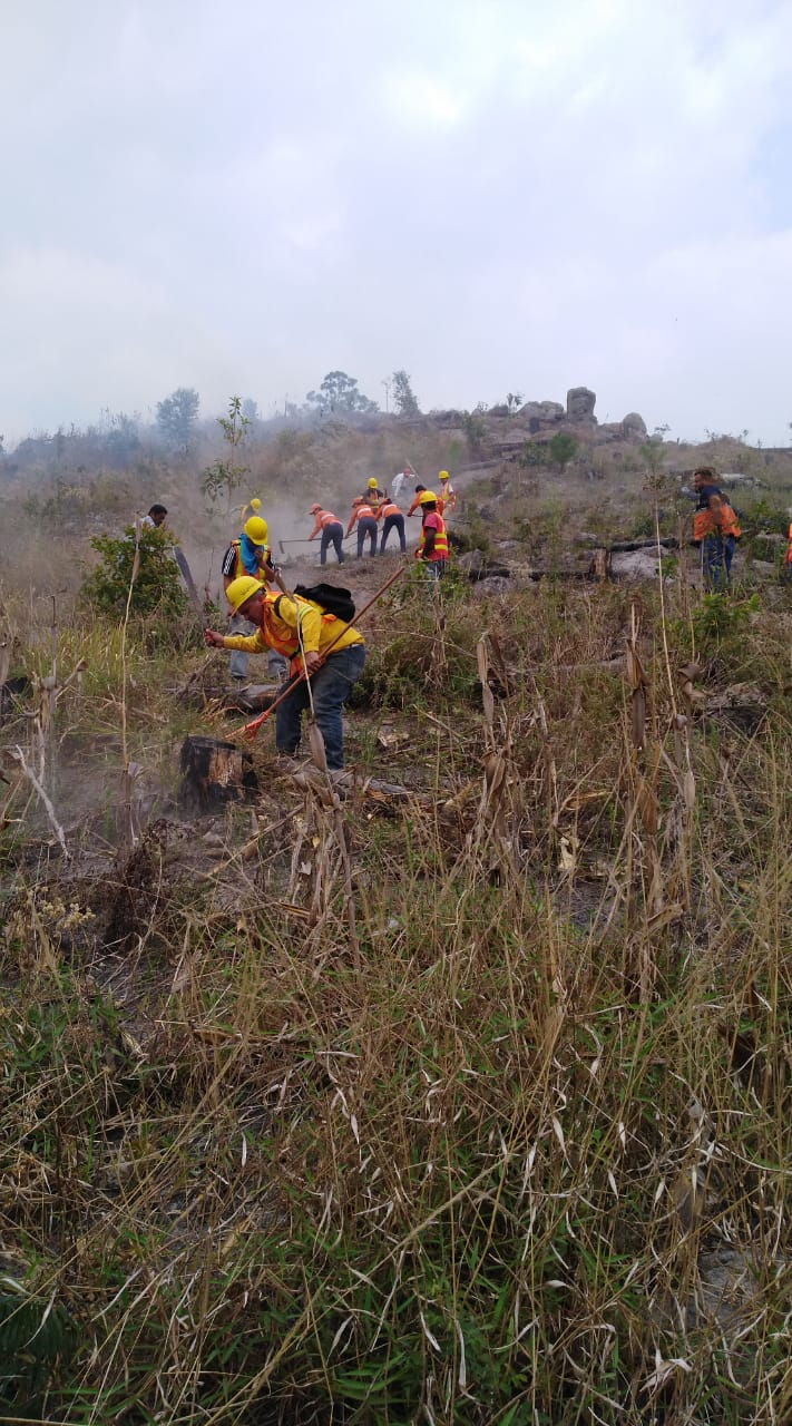 Fuente: Voluntarios Forestales Pantera