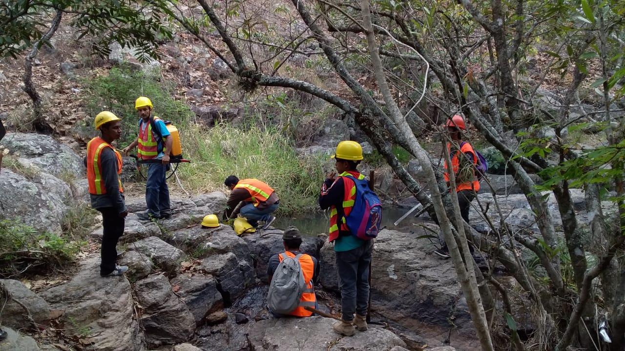 Fuente: Voluntarios Forestales Pantera