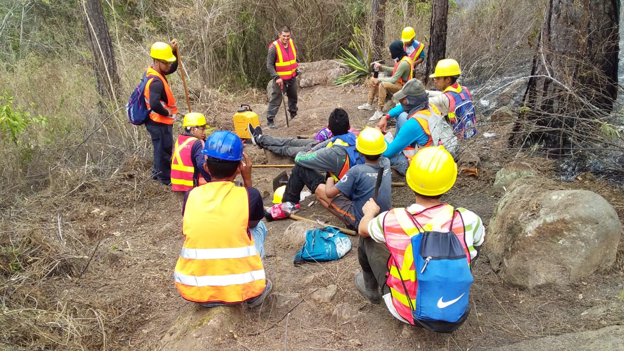 Fuente: Voluntarios Forestales Pantera