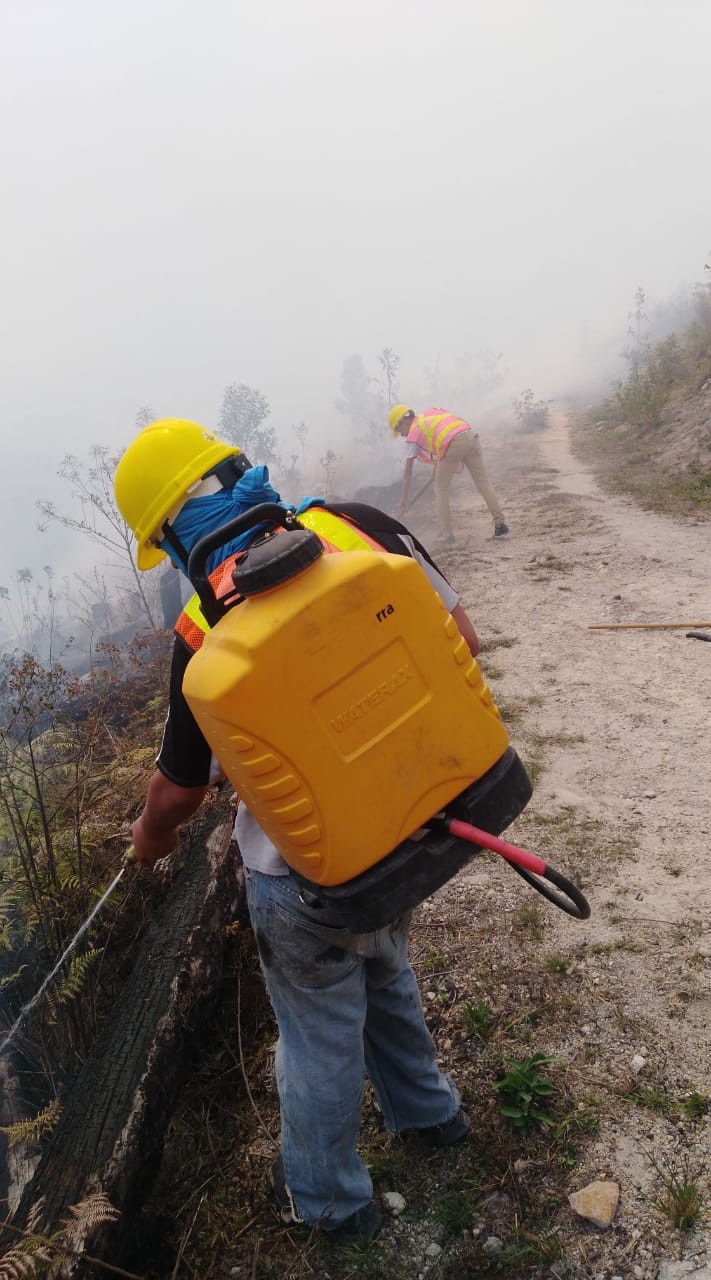 Fuente: Voluntarios Forestales Pantera