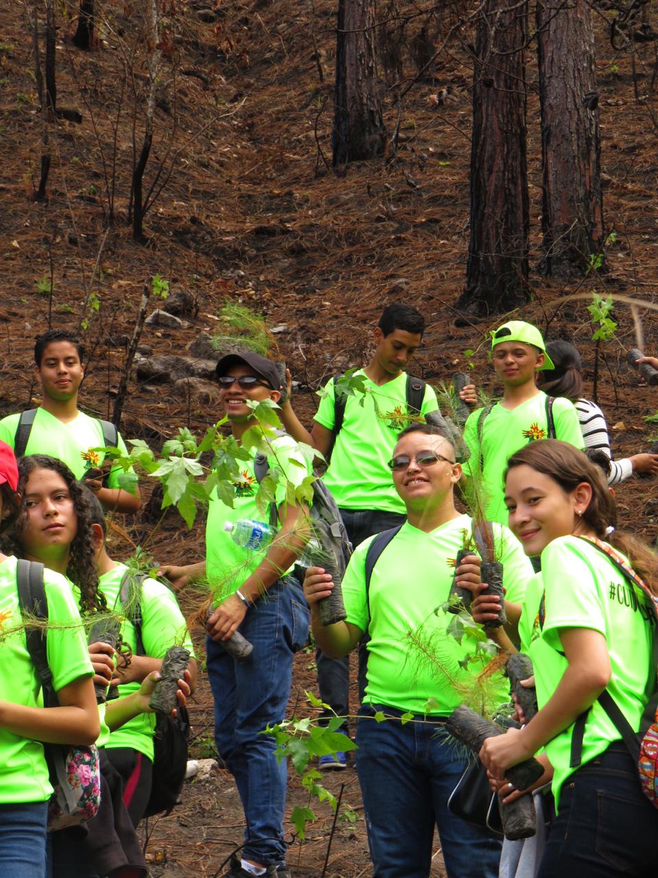 Fuente: Amitigra 