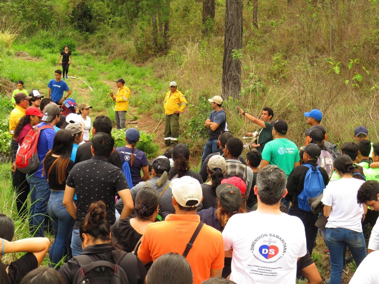 Fuente: Amitigra 