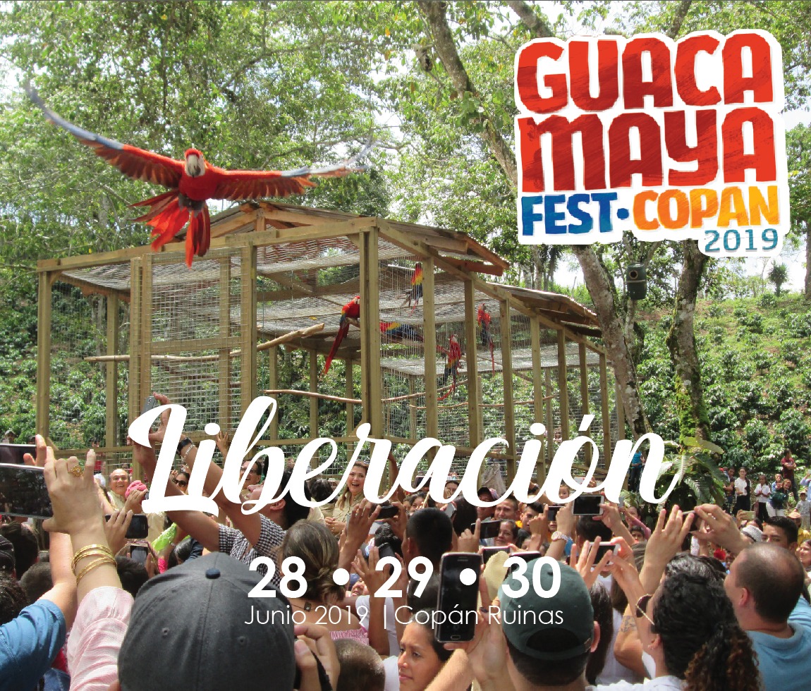 Gucamaya Fest