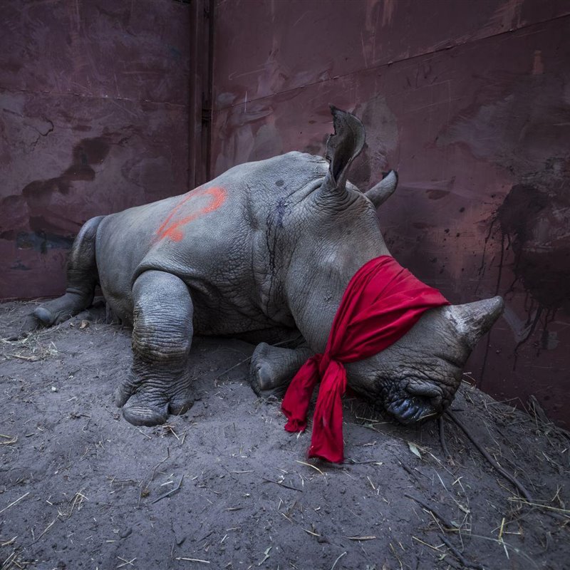 Fuente: National Geographic