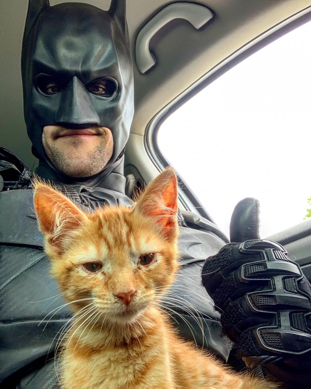 Fuente: Batman4Paws