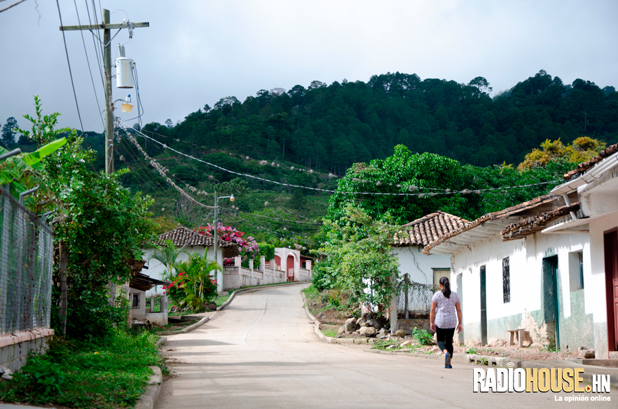 Foto: Pavel Aguirre