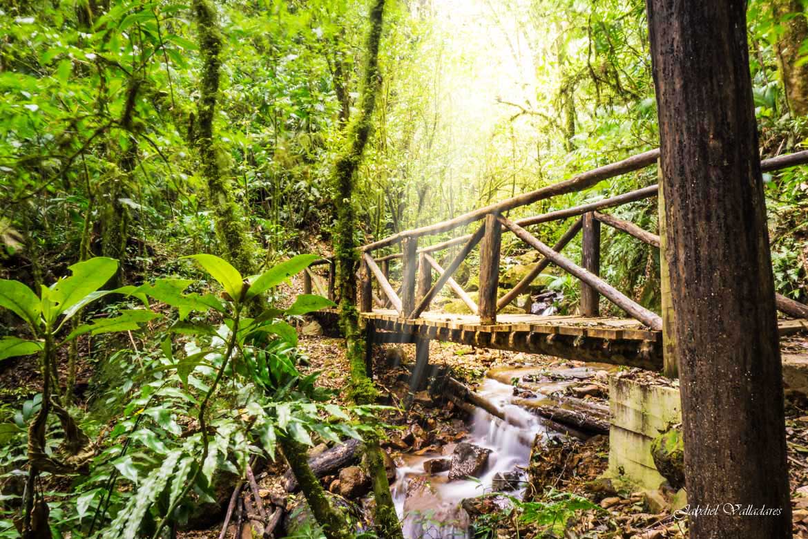 UnFinde acampando en el ecológico Parque Nacional La Tigra - RadioHouse