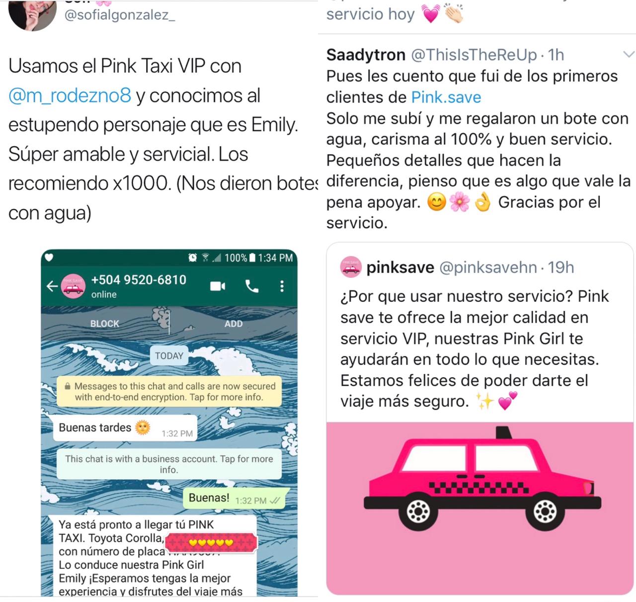 Pink Save